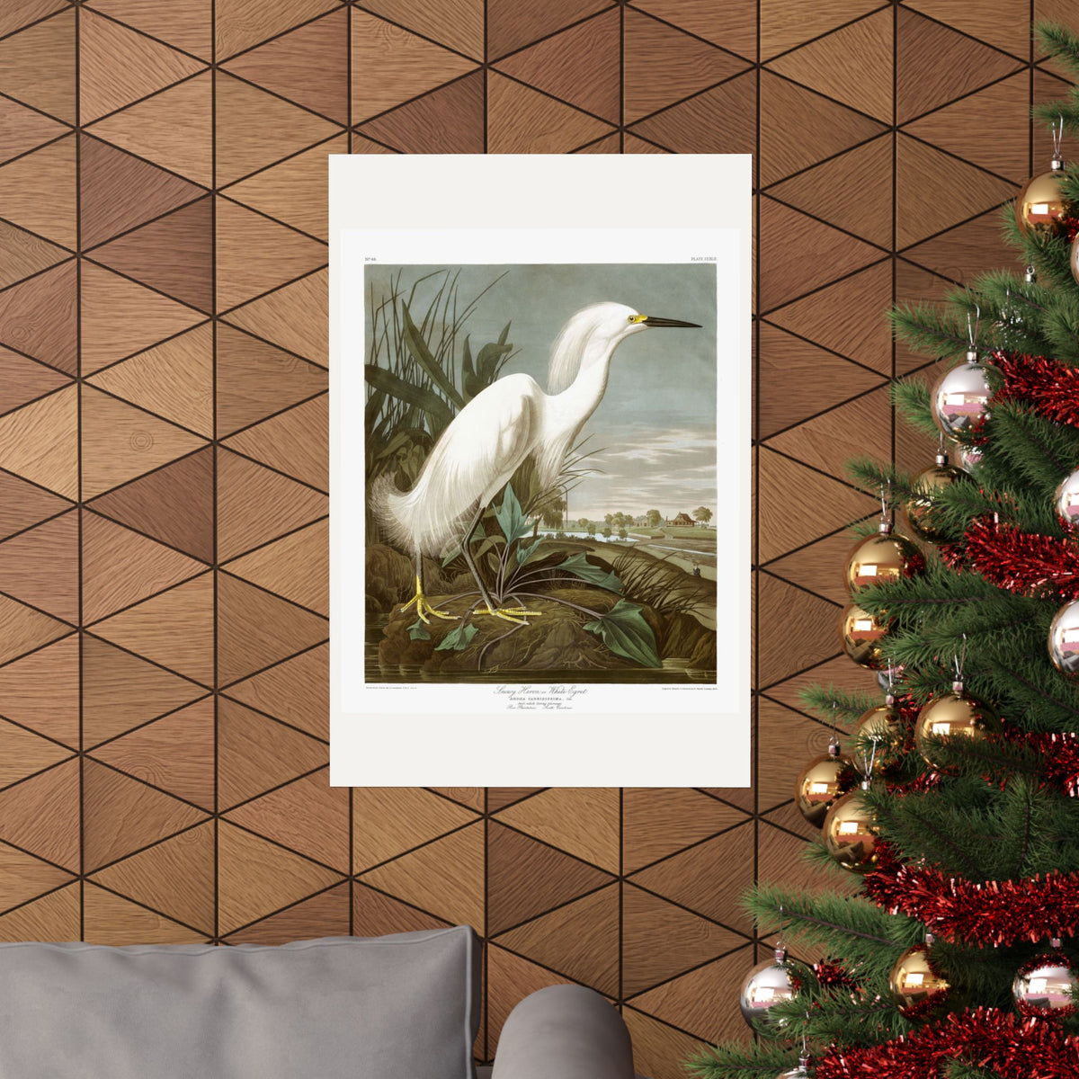 Snowy Heron, or White Egret — Plate 242 — John James Audubon (1827–38)