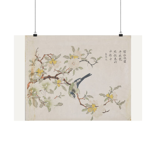Bird on Pomegranate — Chinese, Qing dynasty (c. 1725)