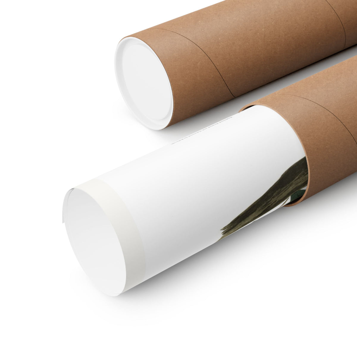 Mocking Bird — Plate 21 — John James Audubon (1827–38)