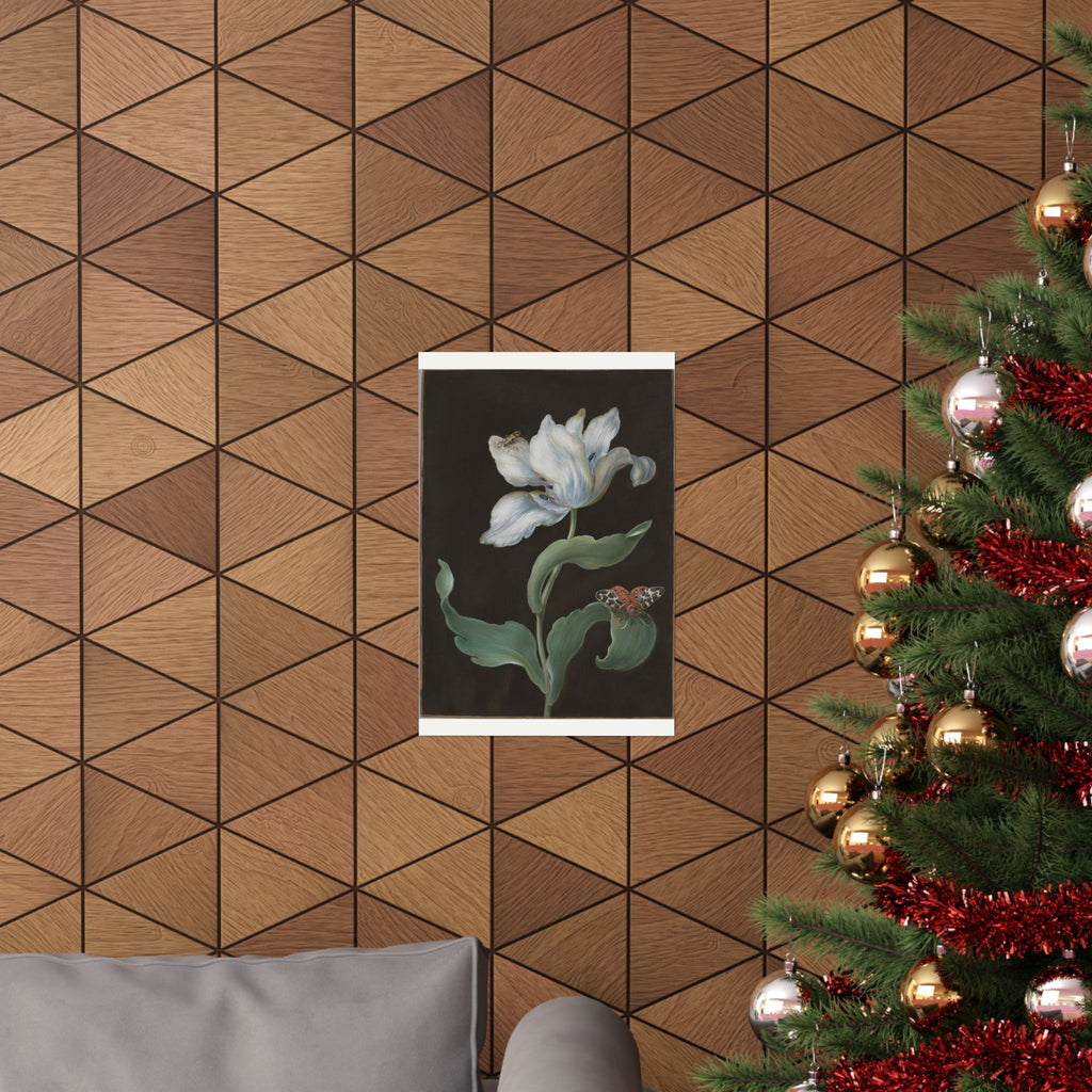 Tulip and Garden Tiger Moth on Black — Barbara Regina Dietzsch (c. 1755)