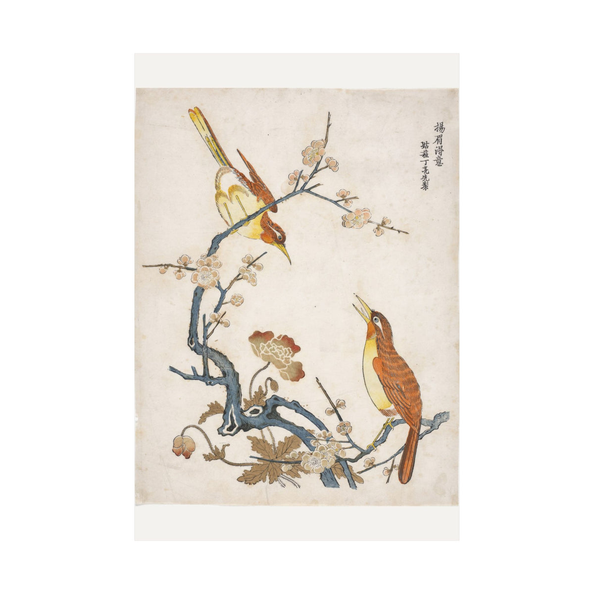 Birds on Plum Branches — Chinese, Qing dynasty (c. 1725)