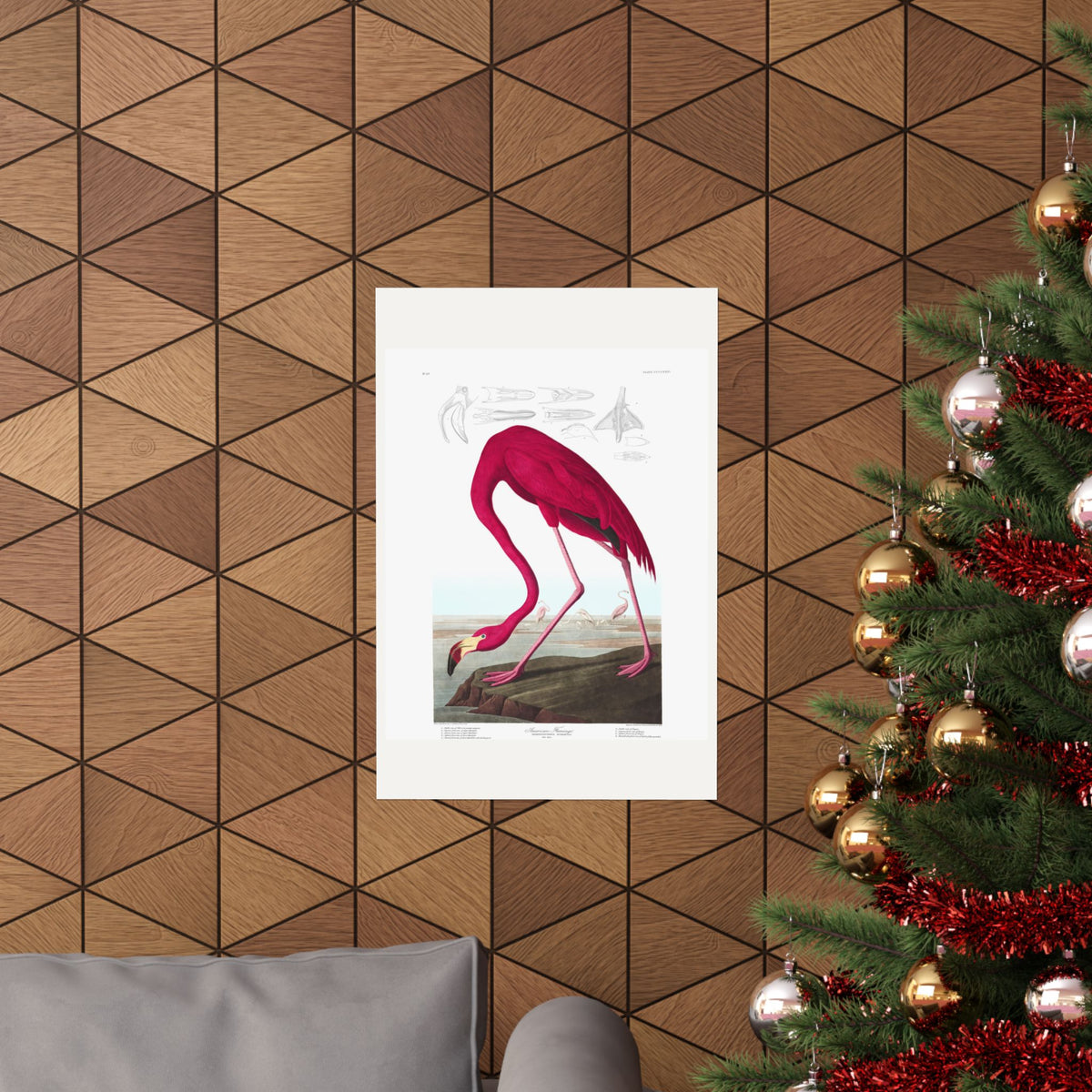 American Flamingo — Plate 431 — John James Audubon (1827–38)