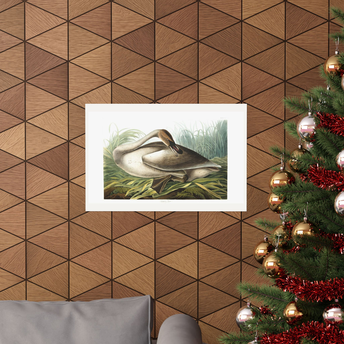 Trumpeter Swan — Plate 376 — John James Audubon (1827–38)