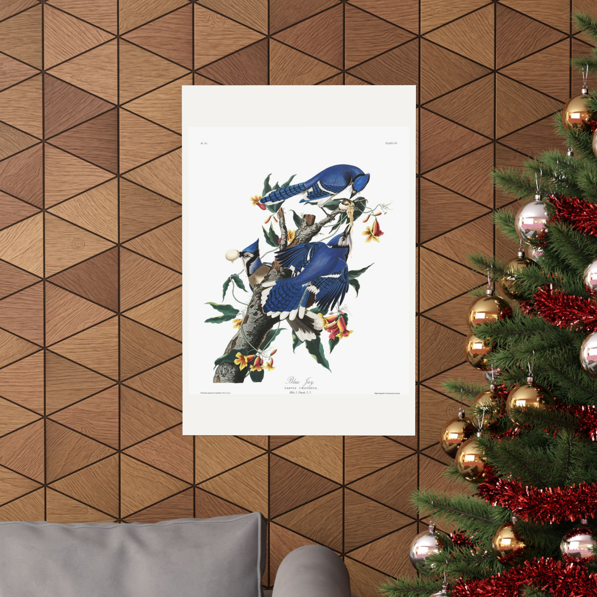 Blue Jay — Plate 102 — John James Audubon (1827–38)