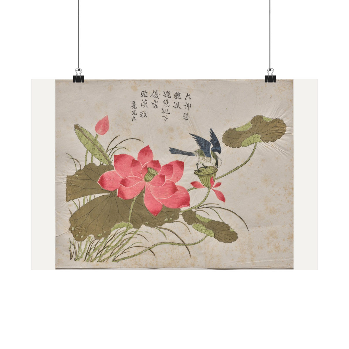 Bird on Lotus — Chinese, Qing dynasty (c. 1725)