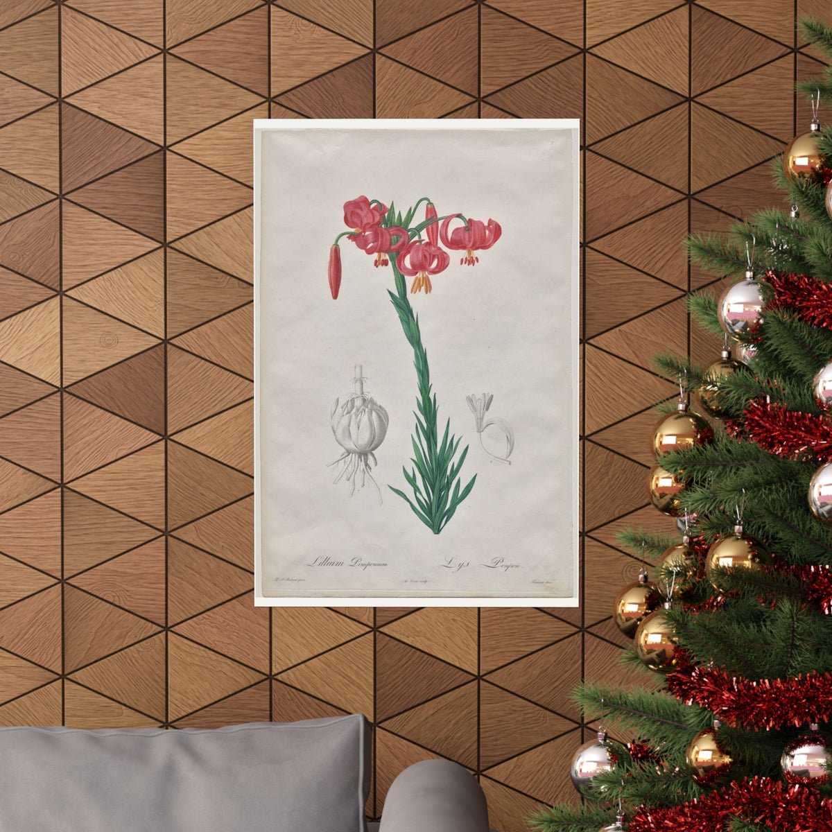 Turban Lily — Lilium Pomponium — Pierre-Joseph Redouté (1802)