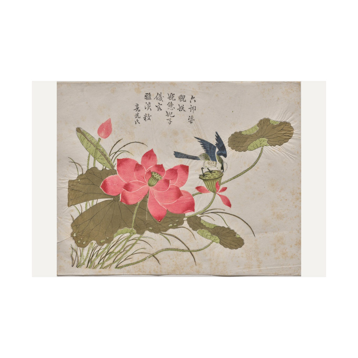 Bird on Lotus — Chinese, Qing dynasty (c. 1725)