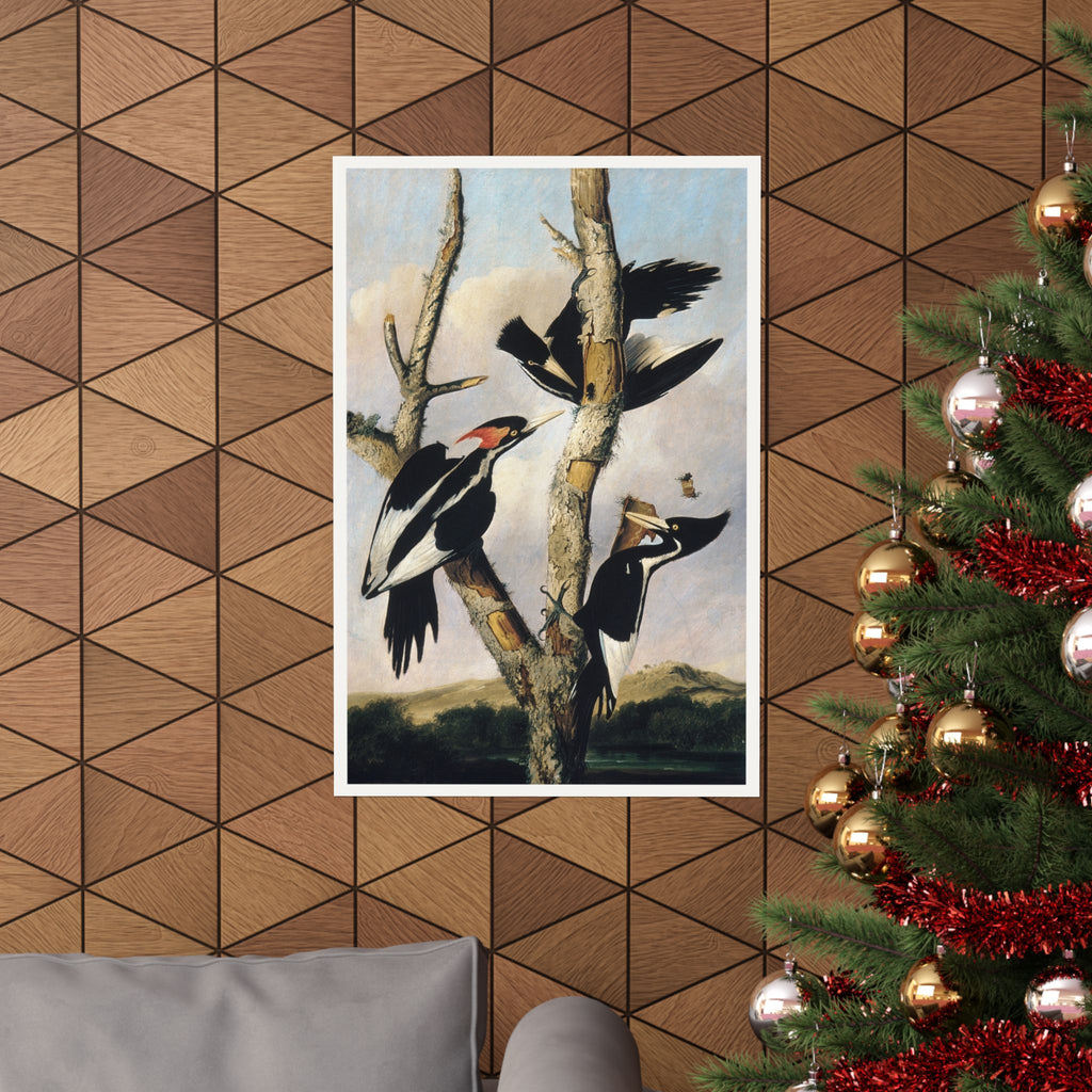 Ivory-billed Woodpeckers — Joseph Bartholomew Kidd, after Audubon (c. 1831)