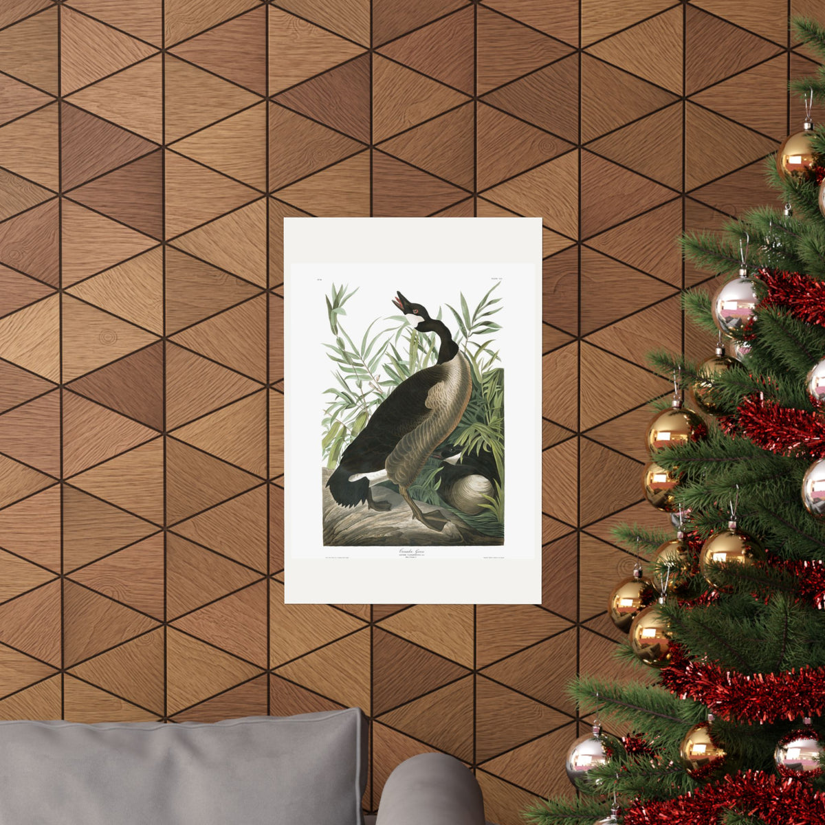 Canada Goose — Plate 201 — John James Audubon (1827–38)