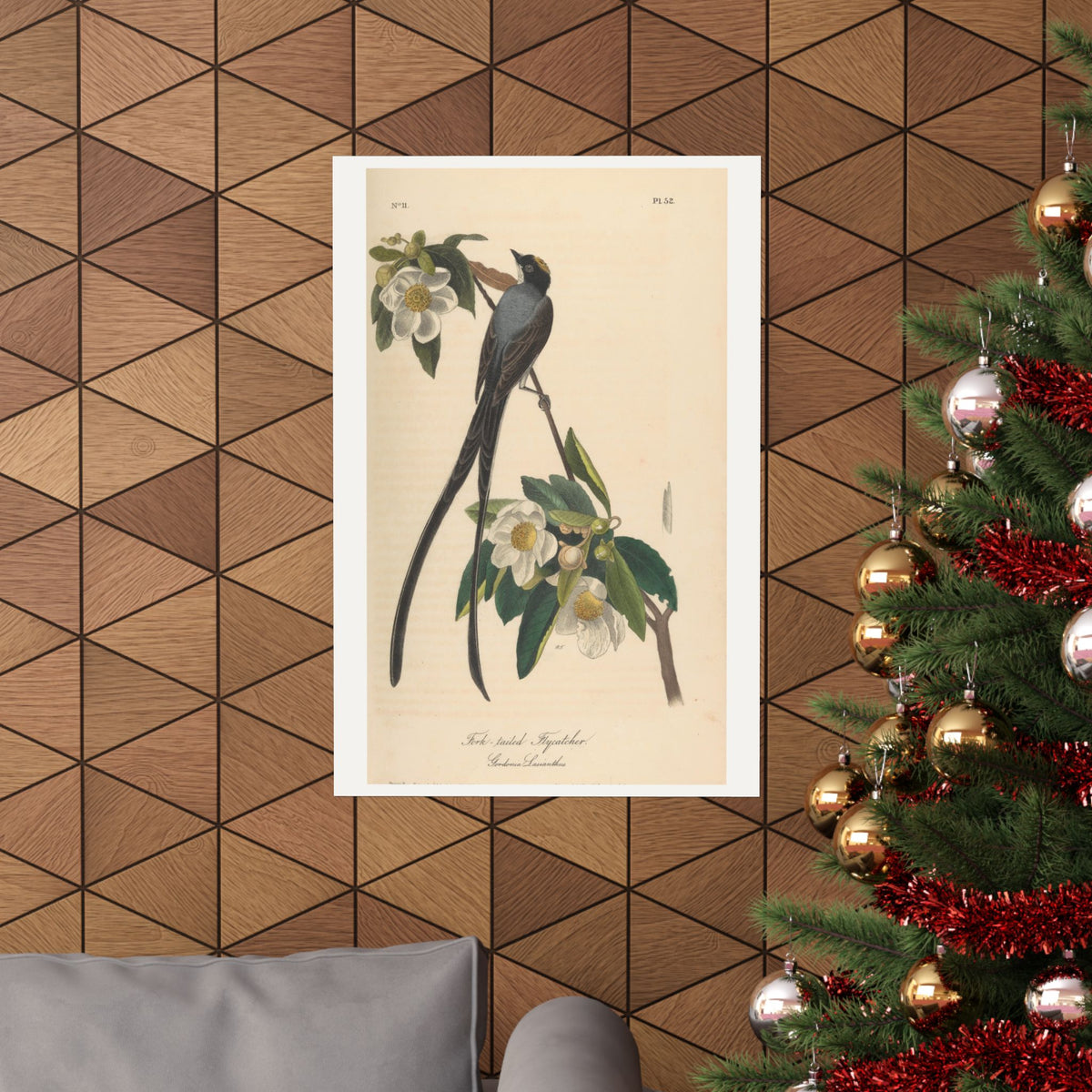 Fork-tailed Flycatcher — John James Audubon (1840)
