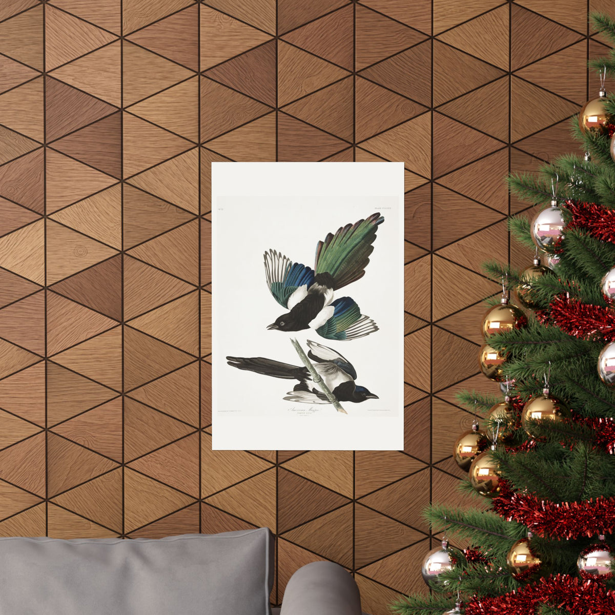 American Magpie — Plate 357 — John James Audubon (1827–38)