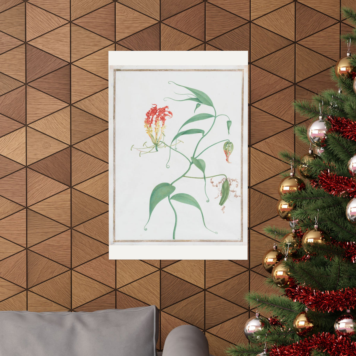 Gloriosa Superba — Climbing Lily — Pierre-Joseph Redouté (c. 1810)