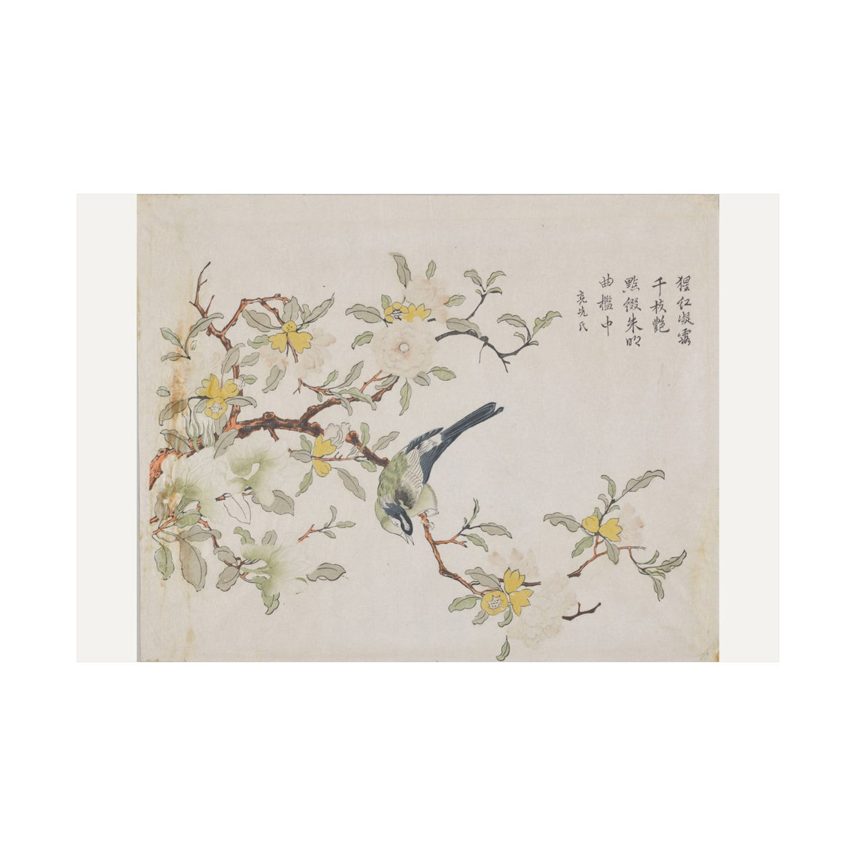 Bird on Pomegranate — Chinese, Qing dynasty (c. 1725)