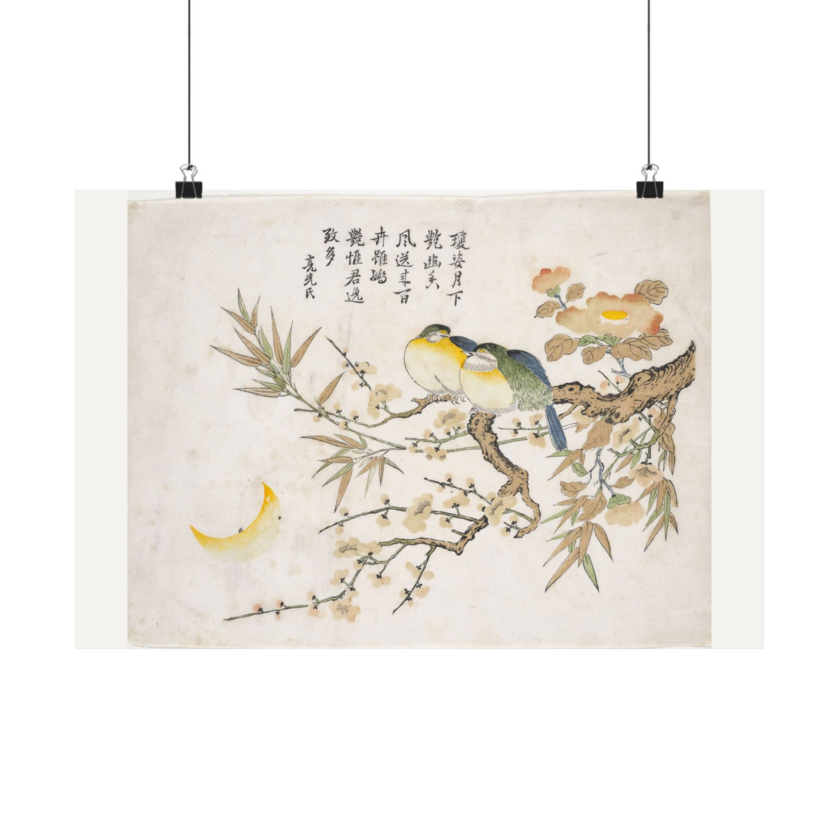 Sleeping Birds — Chinese, Qing dynasty (c. 1725)