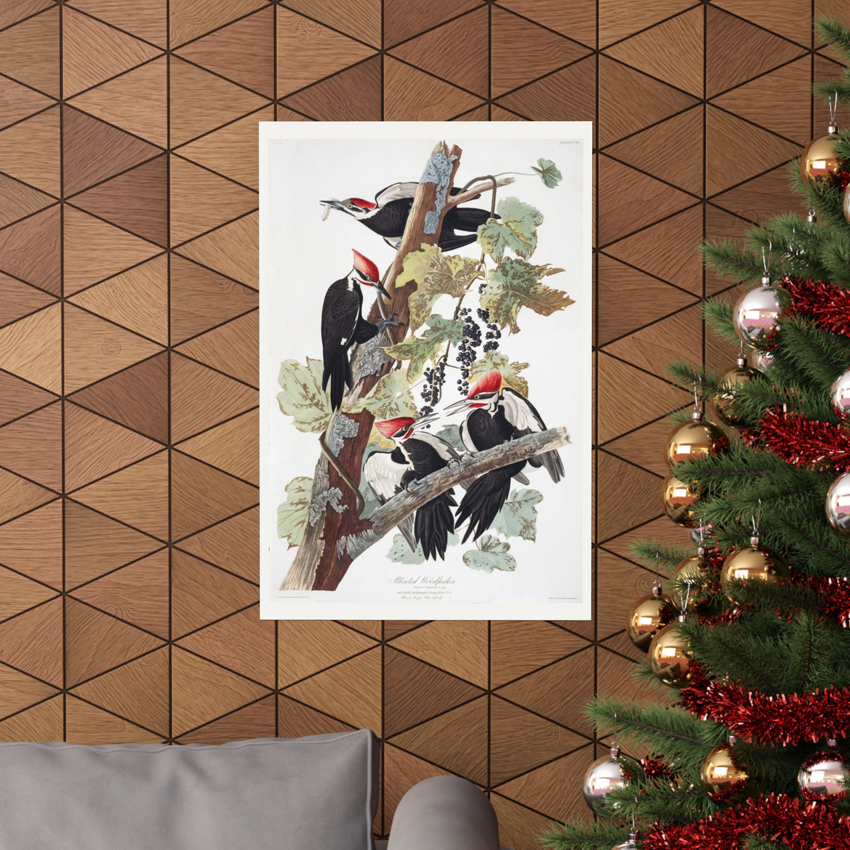 Pileated Woodpecker — Plate 111 — John James Audubon (1827–38)