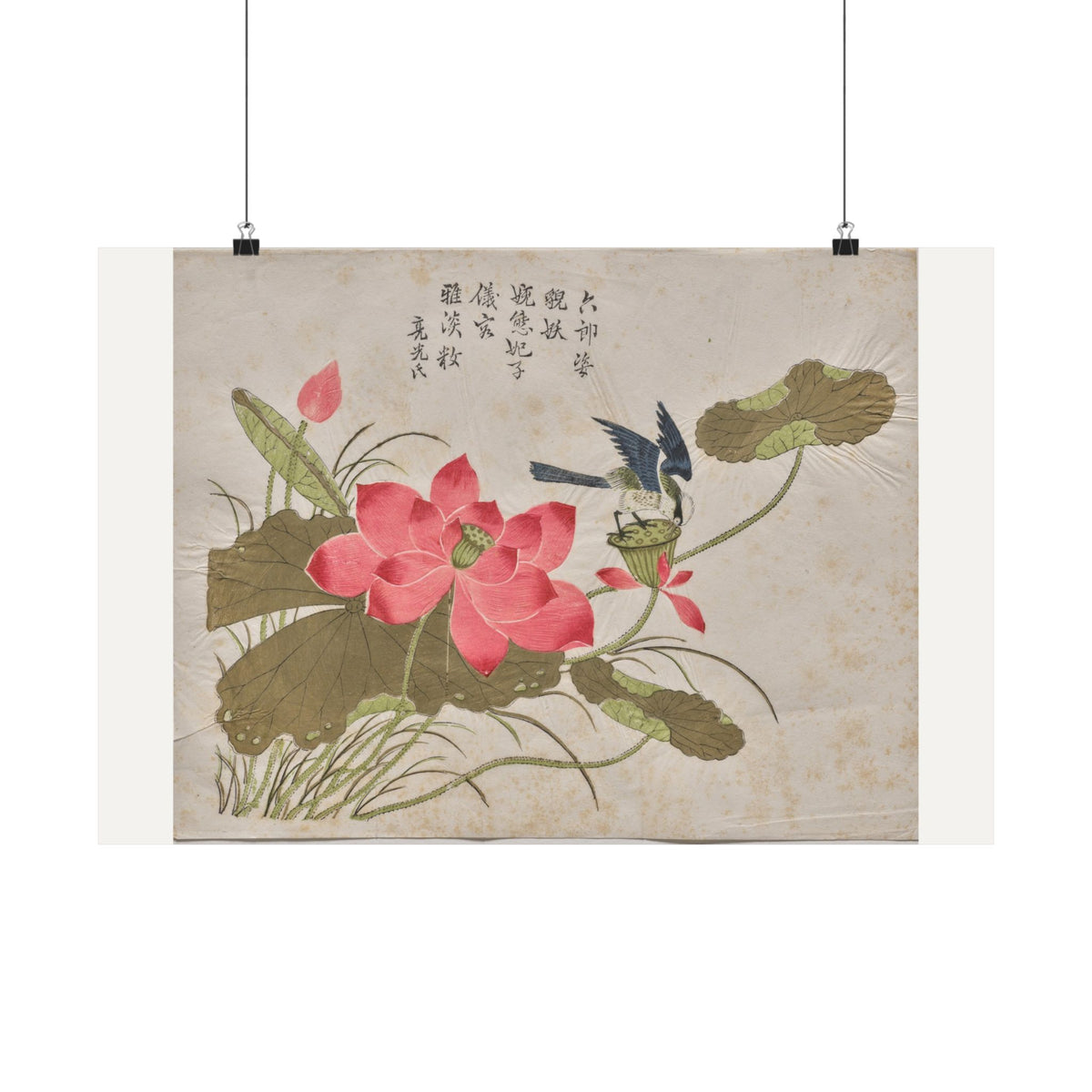 Bird on Lotus — Chinese, Qing dynasty (c. 1725)