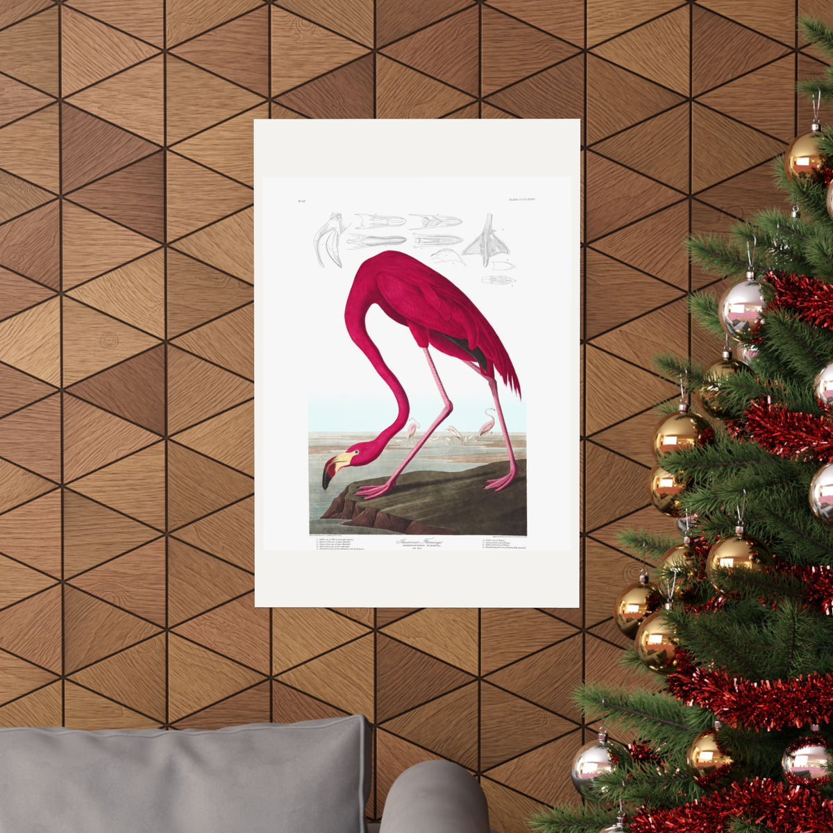 American Flamingo — Plate 431 — John James Audubon (1827–38)