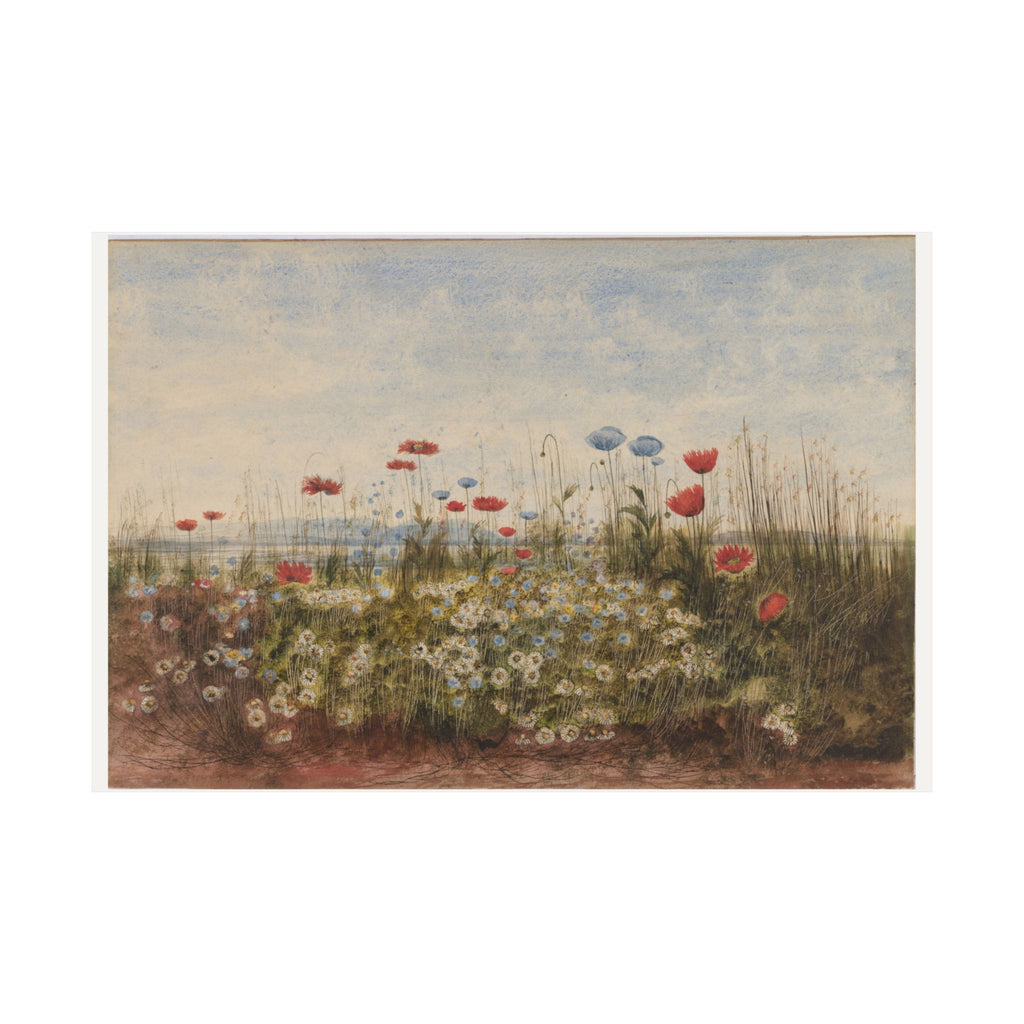 Bank of Wildflowers — Andrew Nicholl (c. 1835)