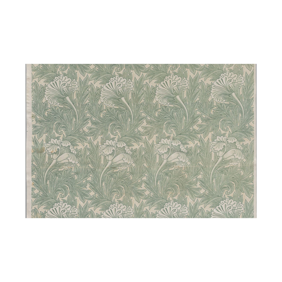 Tulip — William Morris (1875)