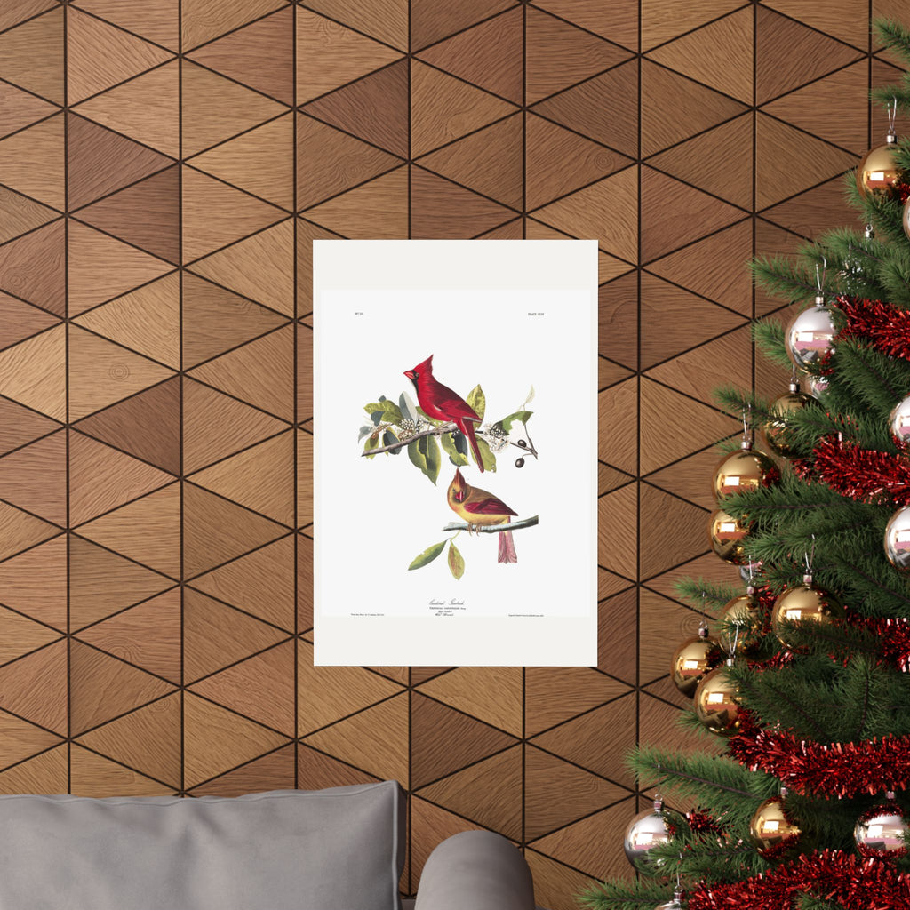 Cardinal Grosbeak — Plate 159 — John James Audubon (1827–38)
