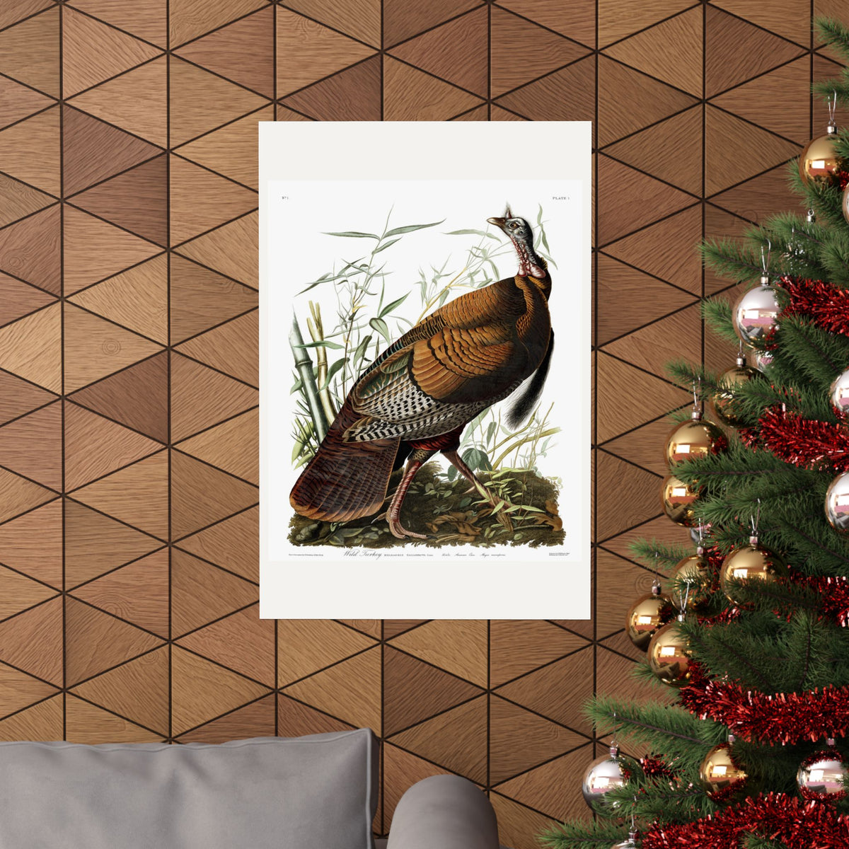 Wild Turkey — Plate 1 — John James Audubon (1827–38)