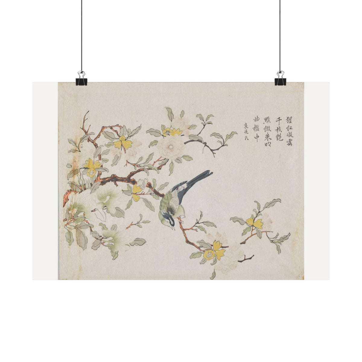 Bird on Pomegranate — Chinese, Qing dynasty (c. 1725)