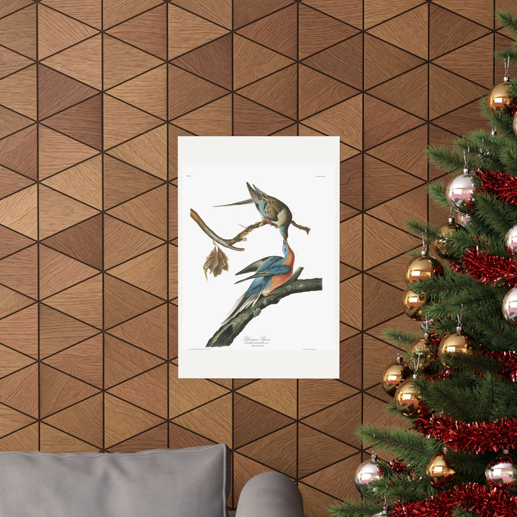 Passenger Pigeon — Plate 62 — John James Audubon (1827–38)
