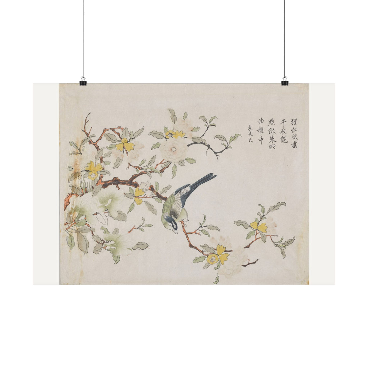 Bird on Pomegranate — Chinese, Qing dynasty (c. 1725)