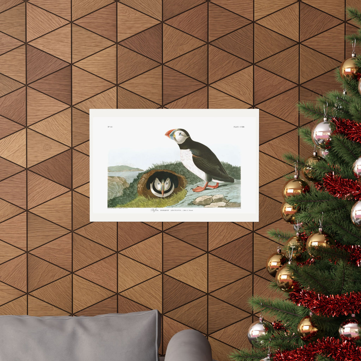 Puffin — Plate 213 — John James Audubon (1827–38)