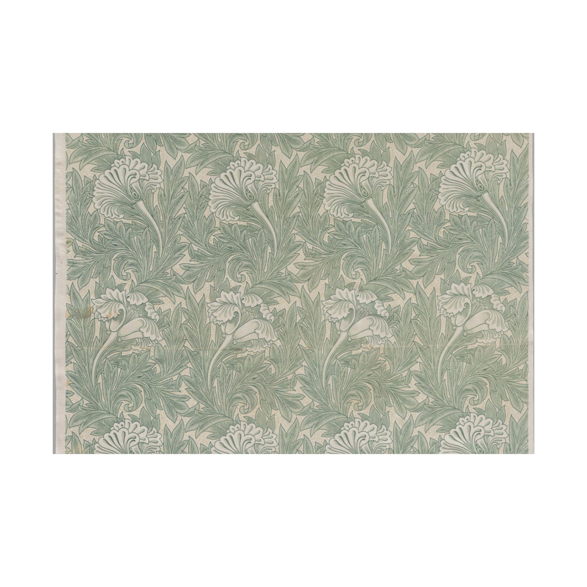 Tulip — William Morris (1875)