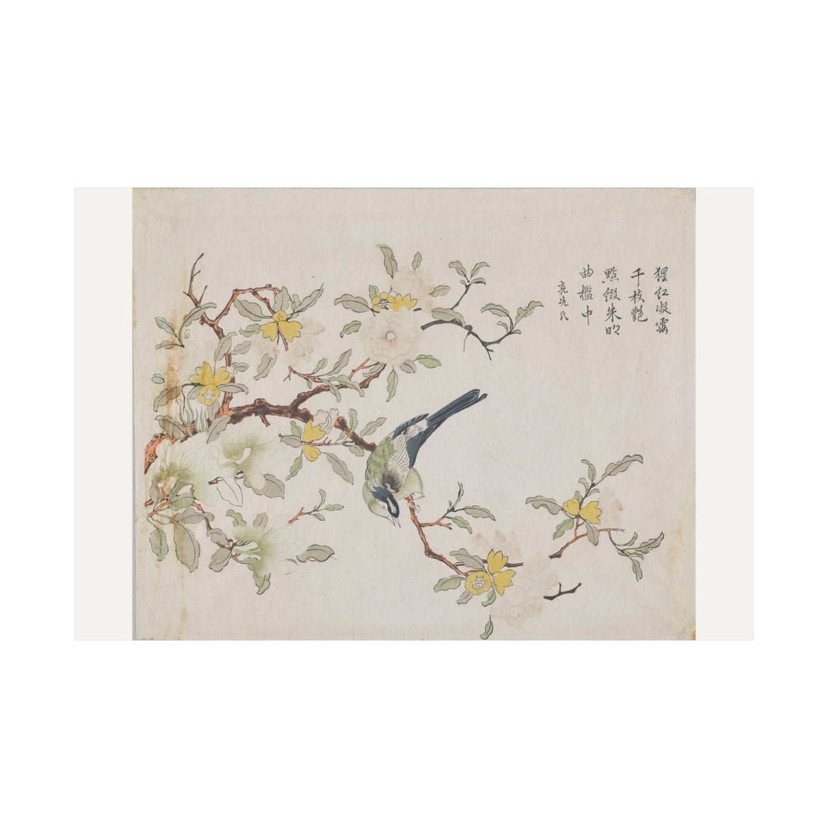 Bird on Pomegranate — Chinese, Qing dynasty (c. 1725)