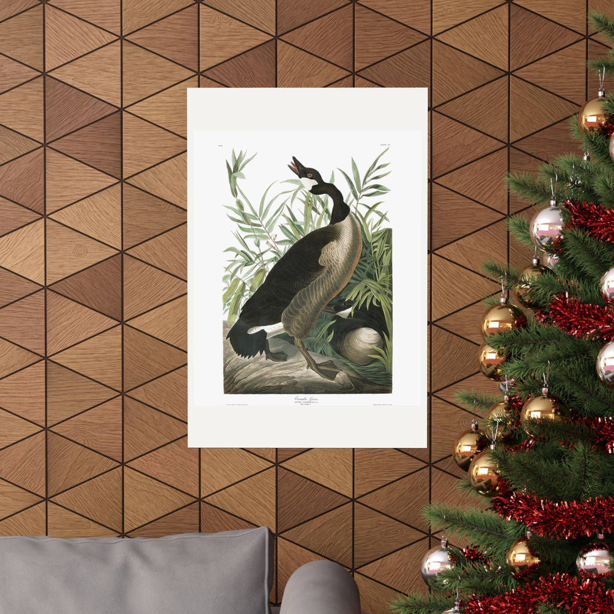 Canada Goose — Plate 201 — John James Audubon (1827–38)