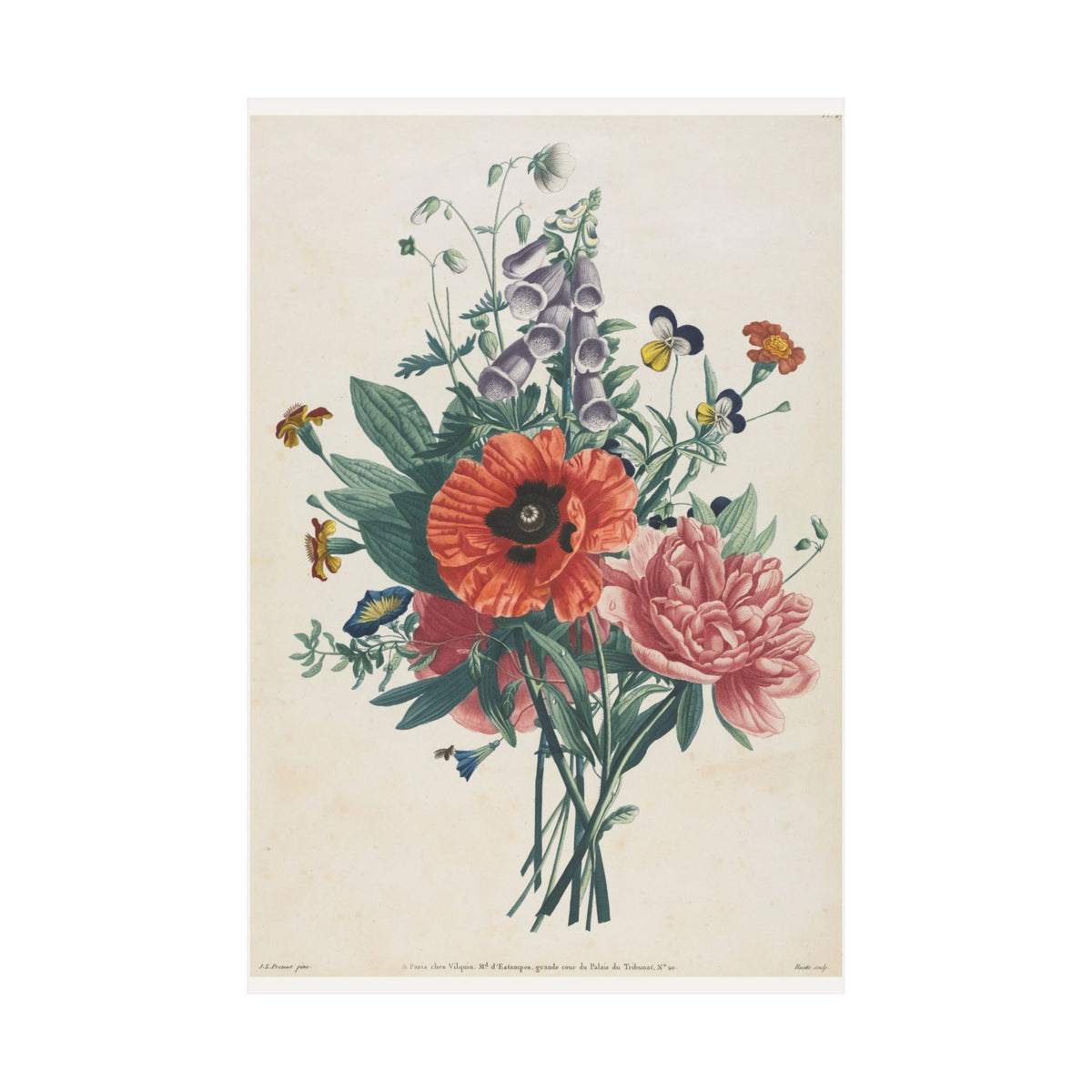 Bouquet of Foxgloves and Poppies — Jean-Louis Prévost (1805)