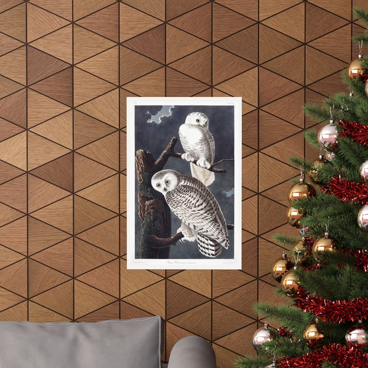 Snowy Owl — Plate 121 — John James Audubon (1827–38)