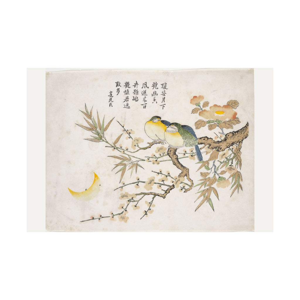 Sleeping Birds — Chinese, Qing dynasty (c. 1725)