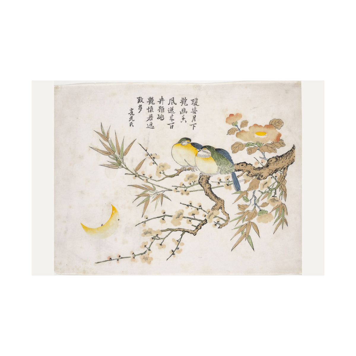 Sleeping Birds — Chinese, Qing dynasty (c. 1725)