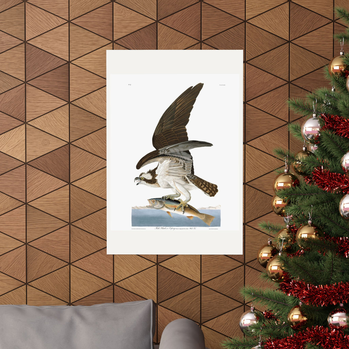 Fish Hawk, or Osprey — Plate 81 — John James Audubon (1827–38)