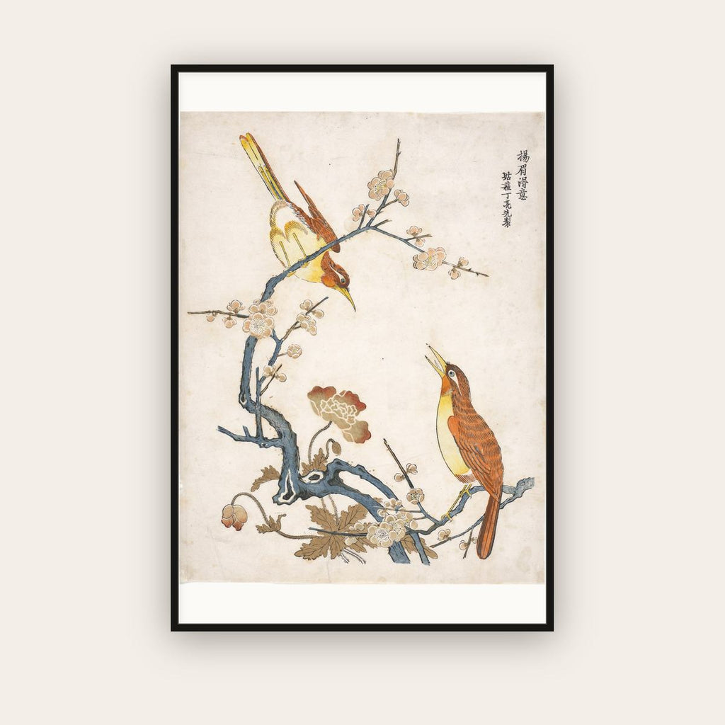 Birds on Plum Branches — Chinese, Qing dynasty (c. 1725) — framed art print