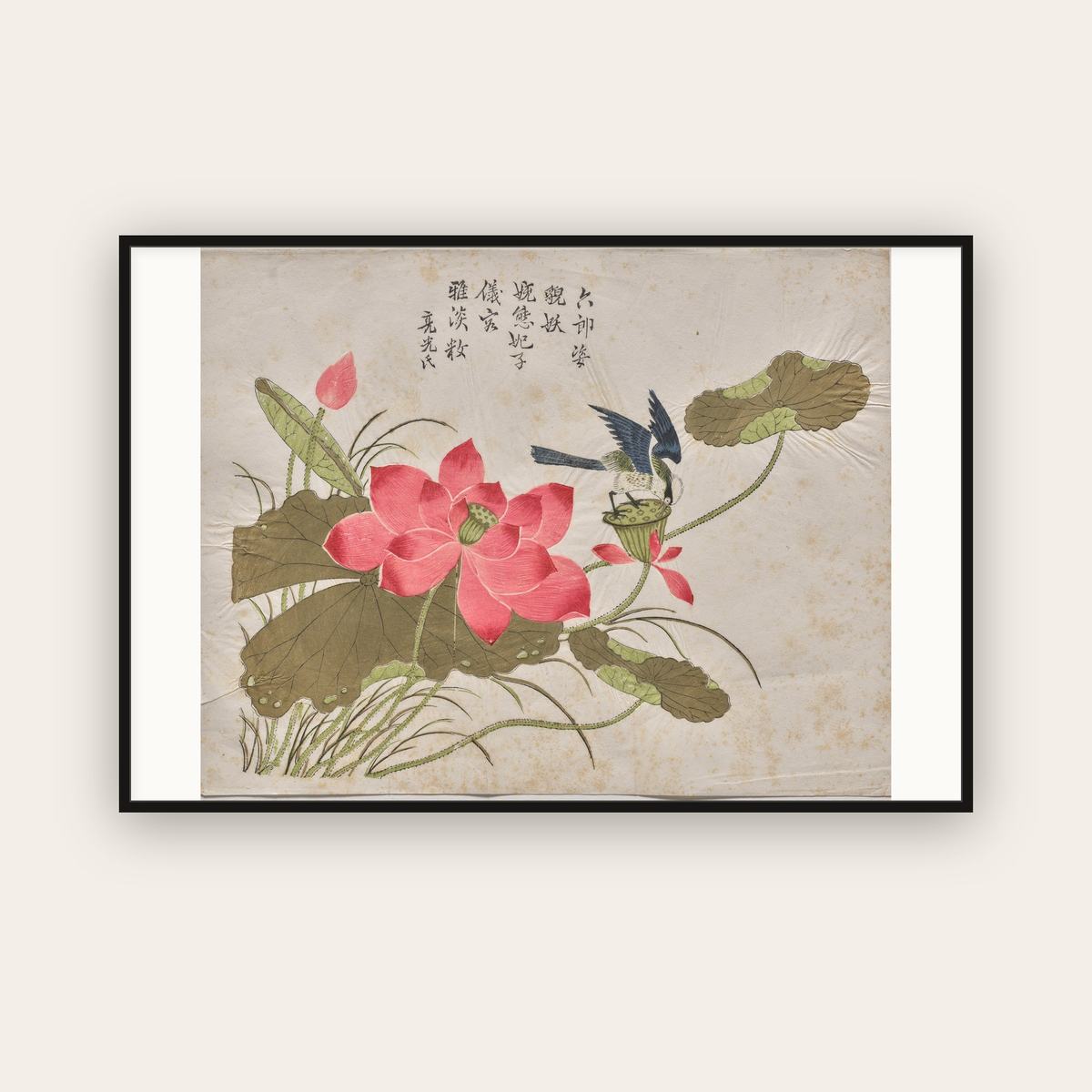 Bird on Lotus — Chinese, Qing dynasty (c. 1725) — framed art print